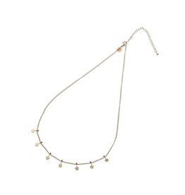 Go Dutch Label D&E - Ketting met bloemetjes - goud