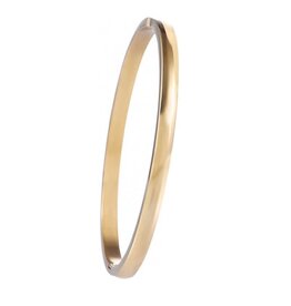 Go Dutch Label D&E - Classic bangle (M) - goud