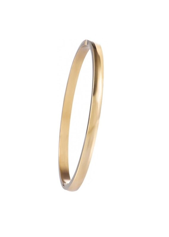 Go Dutch Label D&E - Classic bangle (M) - goud