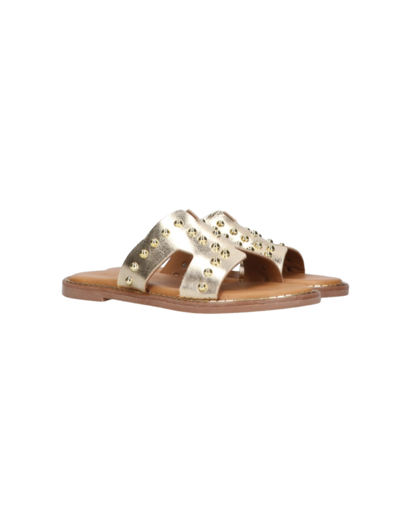 Tango Tango | Audrey platino - goud studs