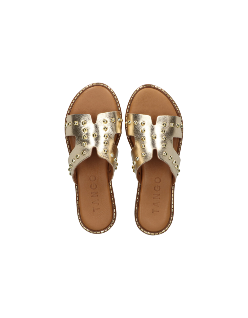 Tango Tango | Audrey platino - goud studs