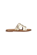Tango Tango | Audrey platino - goud studs