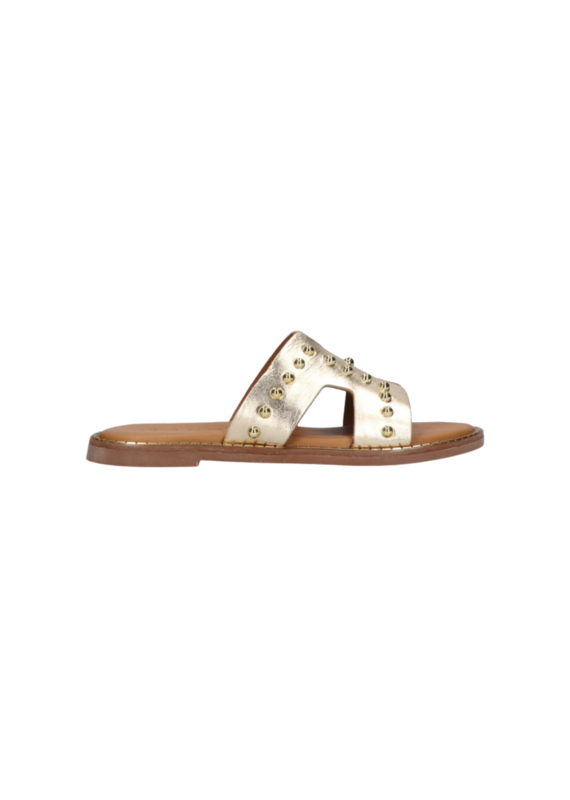 Tango Tango | Audrey platino - goud studs