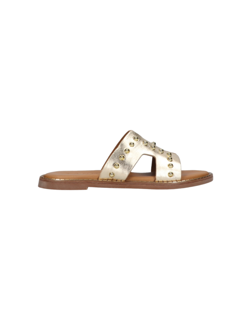 Tango Tango | Audrey platino - goud studs