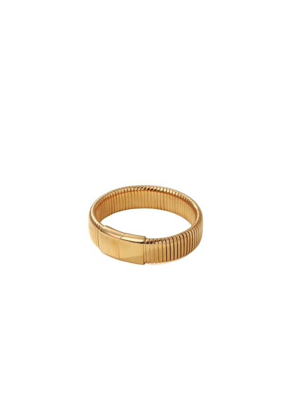 21Jewelz Grove schakelarmband - goud