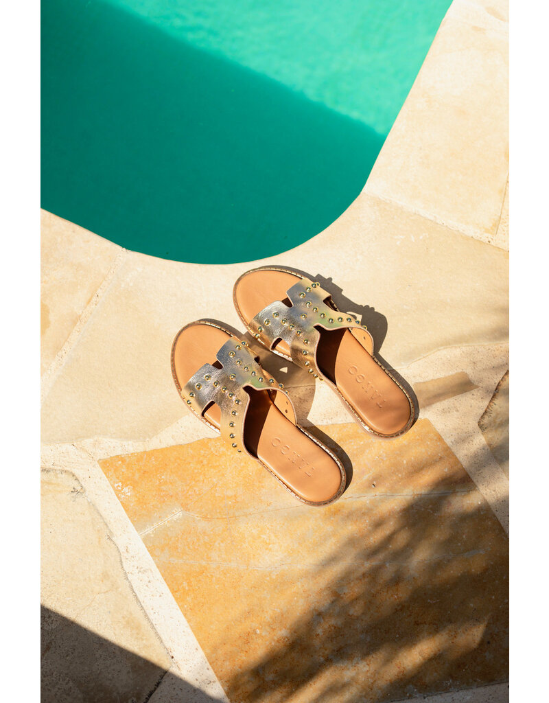 Tango Tango | Audrey platino - goud studs