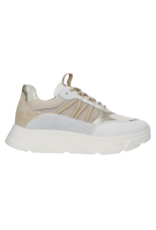 21Jewelz Tango - Kady Fat off white/gold multi