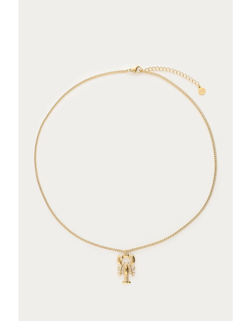 My Jewellery My Jewellery | Mer minimalistische ketting met kreeft - goud