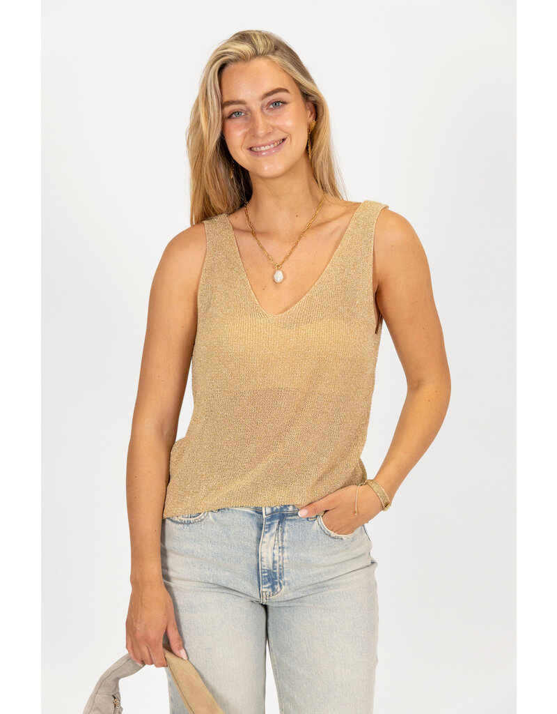 21Jewelz Gouden glitter top