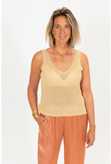 21Jewelz Gouden glitter top