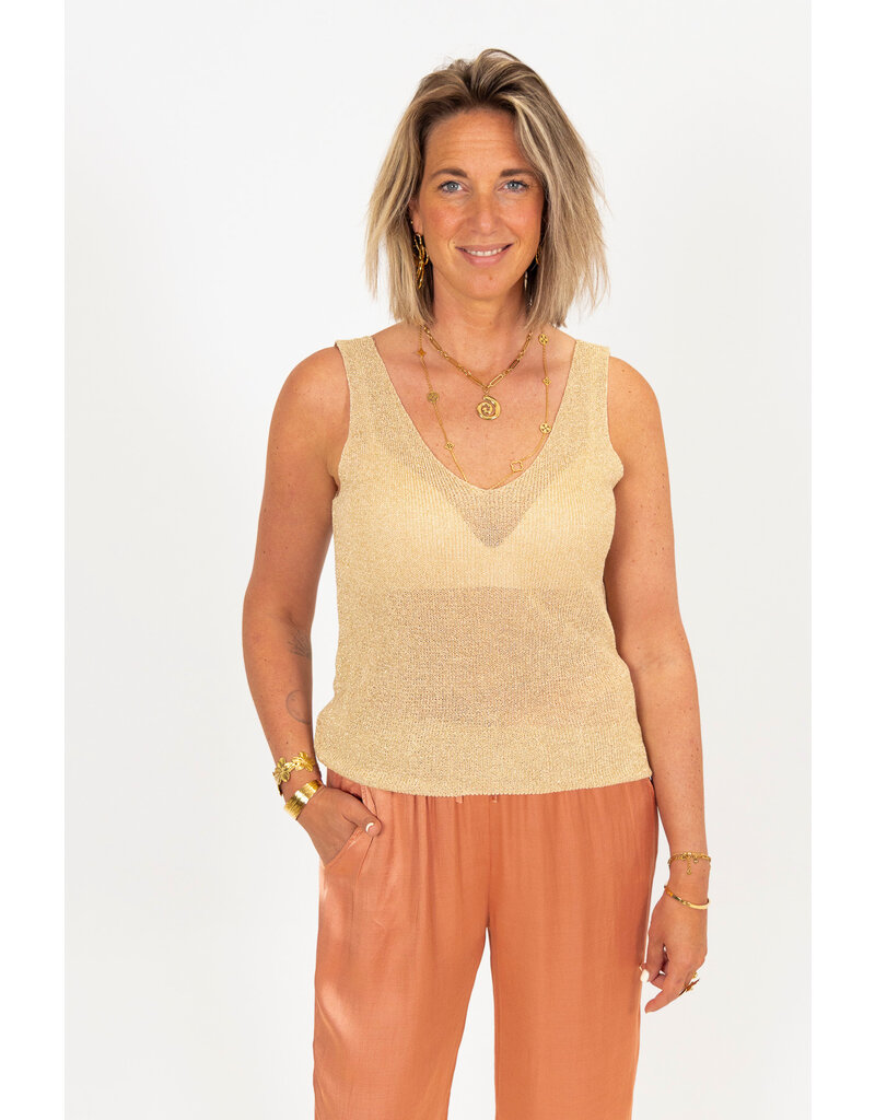 21Jewelz Gouden glitter top