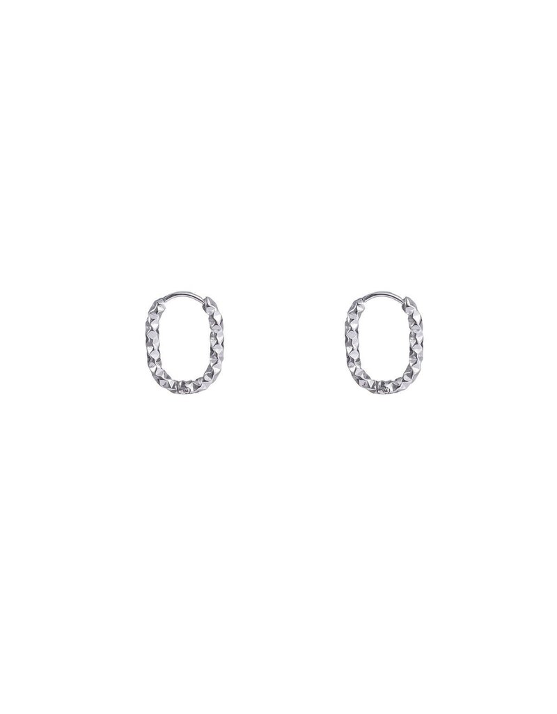 Go Dutch Label D&E - Medium ovale oorringen met textuur - zilver