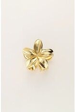 My Jewellery My Jewellery - Goudkleurige bloemen haarclip