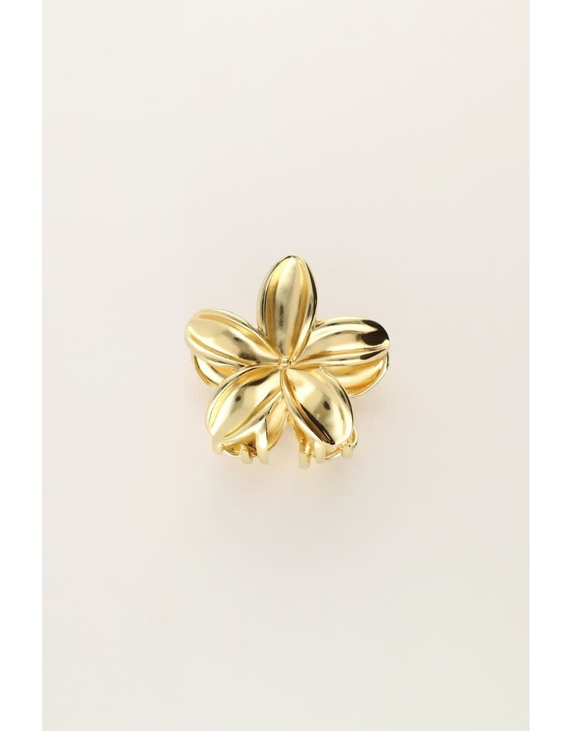 My Jewellery My Jewellery - Goudkleurige bloemen haarclip