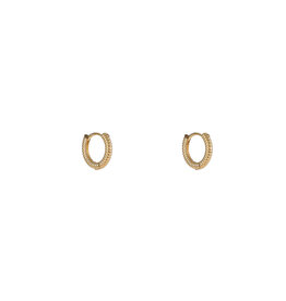 Go Dutch Label D&E - Propeller hoop 10mm - goud