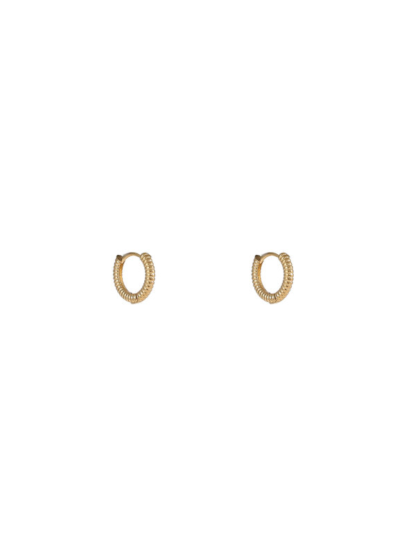 Go Dutch Label D&E - Propeller hoop 10mm - goud