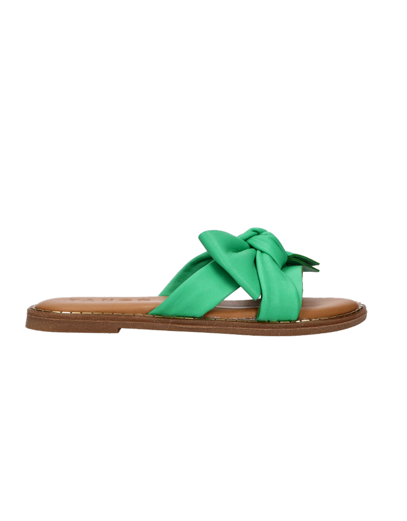 Tango Tango - Audrey green bow