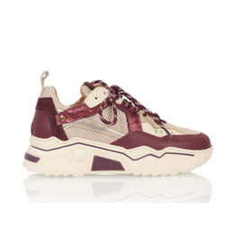 DWRS DWRS | Pluto - bordeaux/offwhite