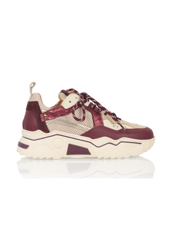 DWRS DWRS | Pluto - bordeaux/offwhite