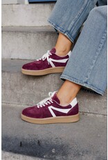 Babouche Babouche | Liva - bordo/white