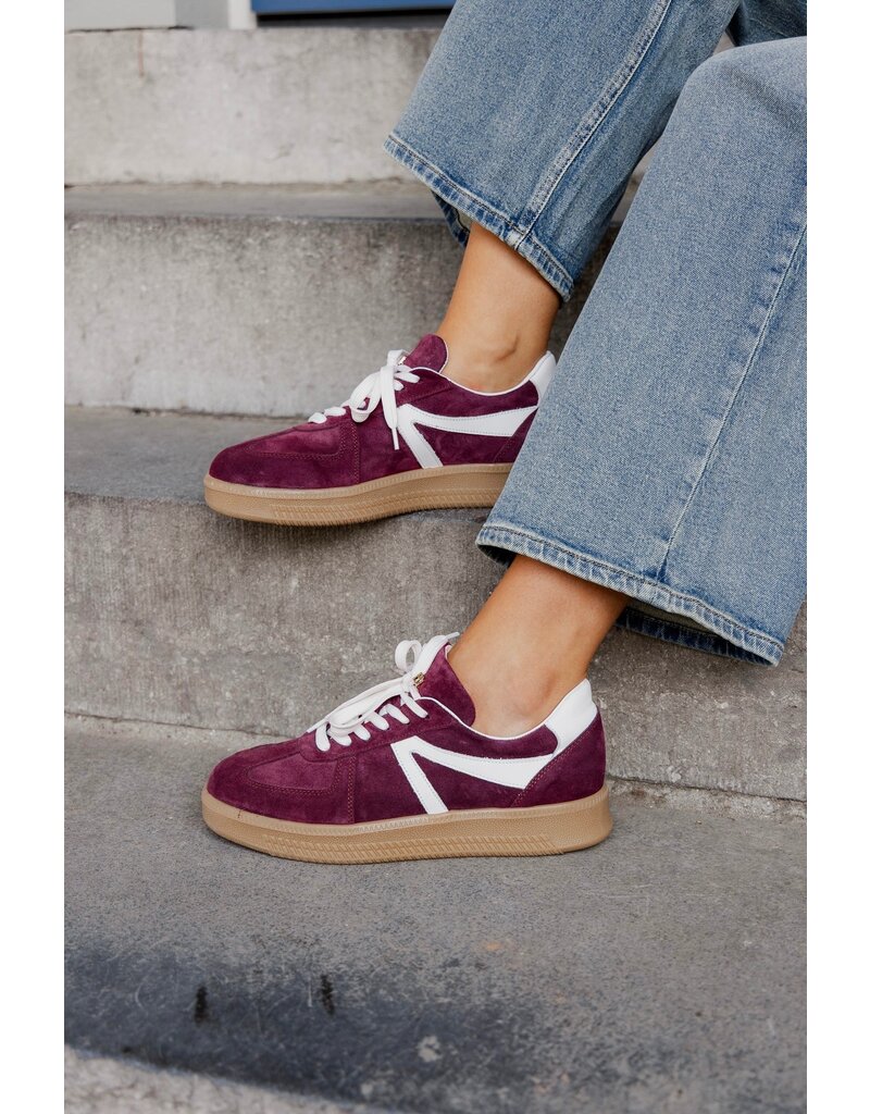 Babouche Babouche | Liva - bordo/white