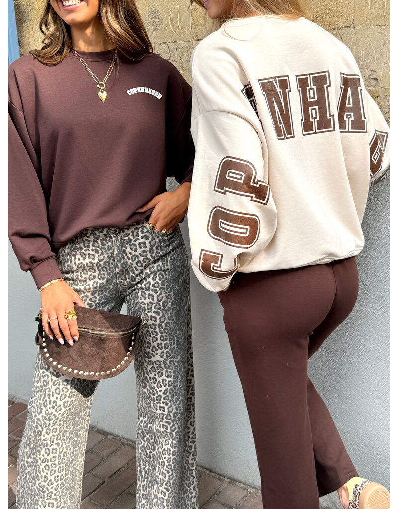 21Jewelz Sweater Copenhagen - ecru