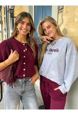 21Jewelz Sweater Le Marais - grijs