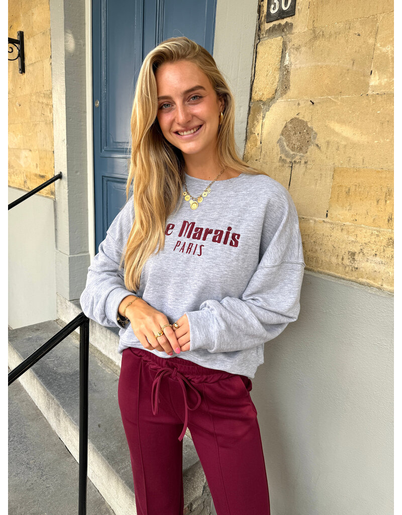 21Jewelz Sweater Le Marais - grijs