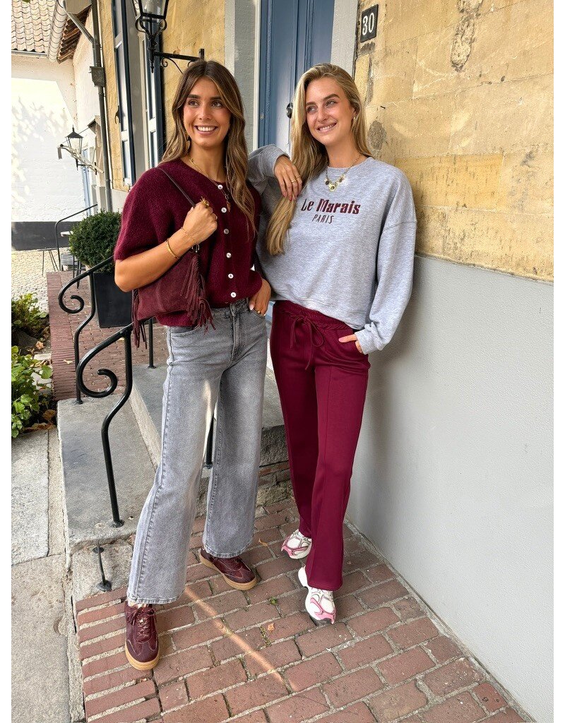 21Jewelz Sweater Le Marais - grijs