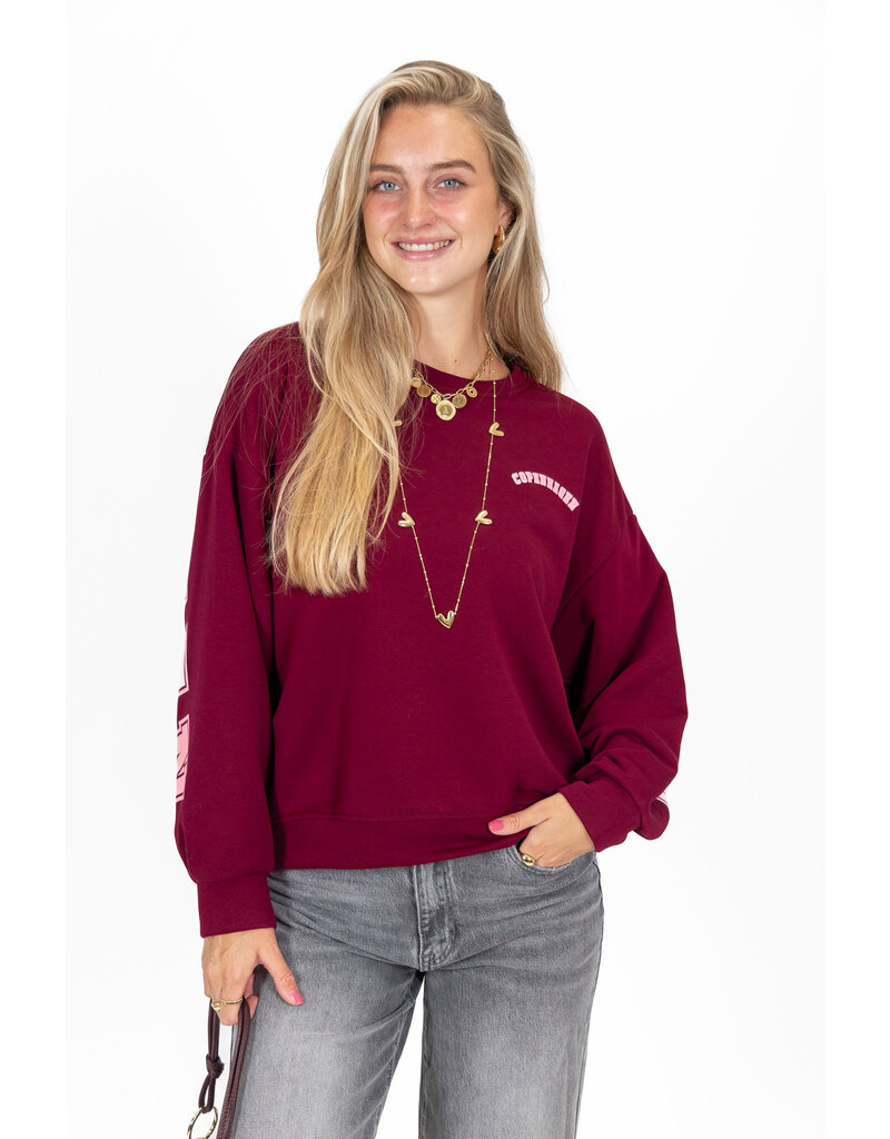 21Jewelz Sweater Copenhagen - bordeaux