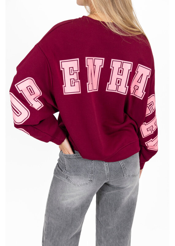 21Jewelz Sweater Copenhagen - bordeaux
