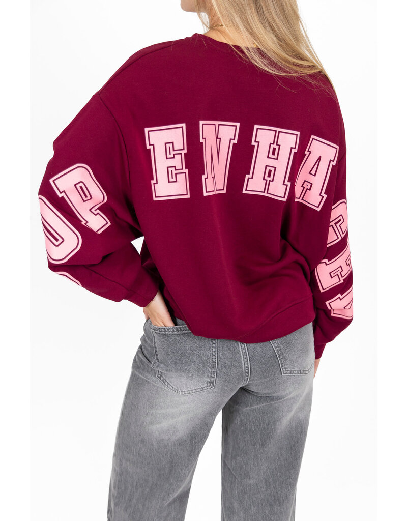 21Jewelz Sweater Copenhagen - bordeaux