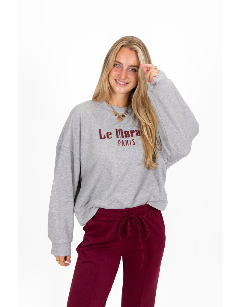 21Jewelz Sweater Le Marais - grijs
