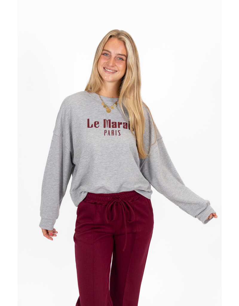 21Jewelz Sweater Le Marais - grijs