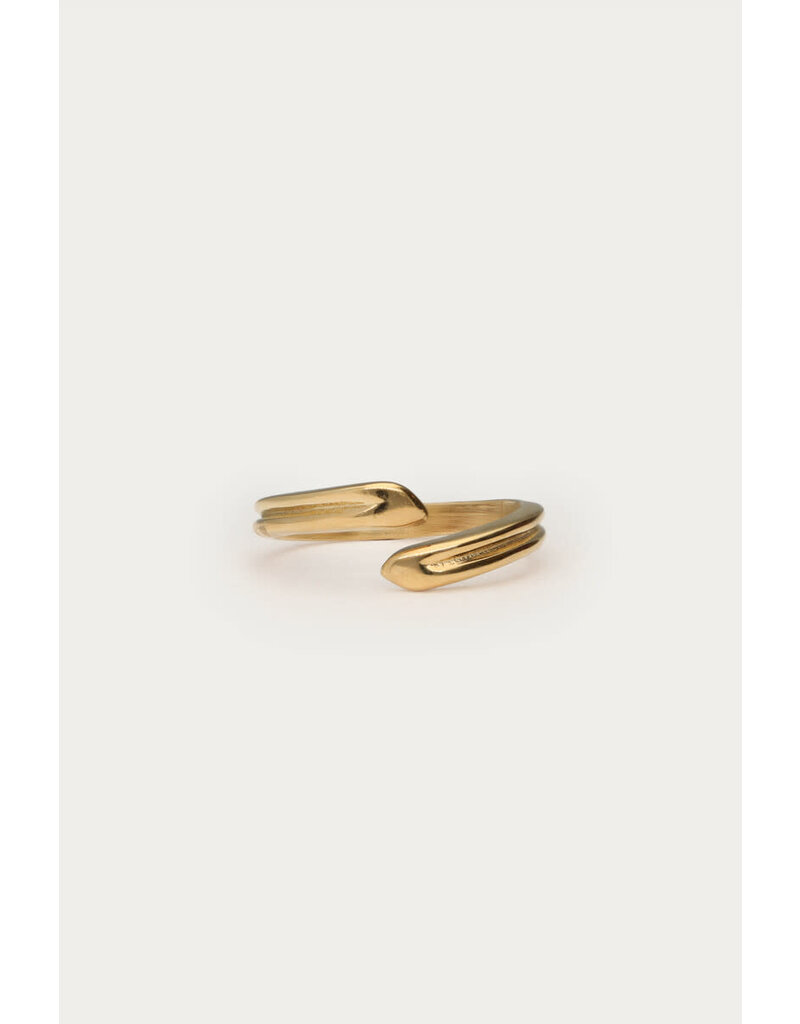 My Jewellery My Jewellery - Bold minimalistische ring - goud