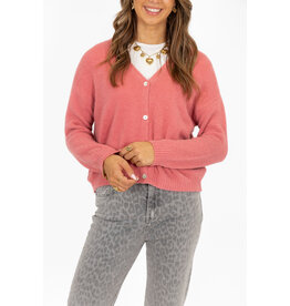 21Jewelz Gebreid v-hals vestje - roze