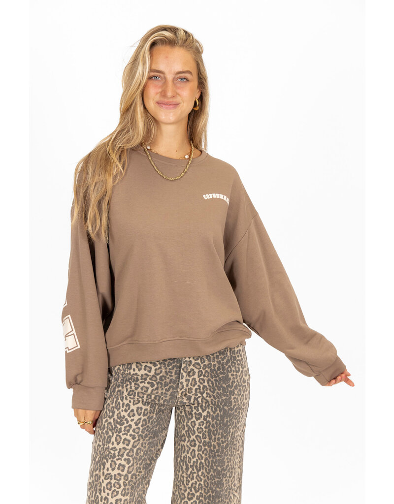 21Jewelz Sweater Copenhagen - taupe