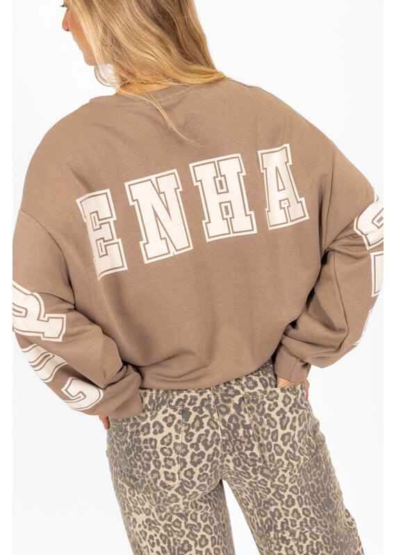 21Jewelz Sweater Copenhagen - taupe