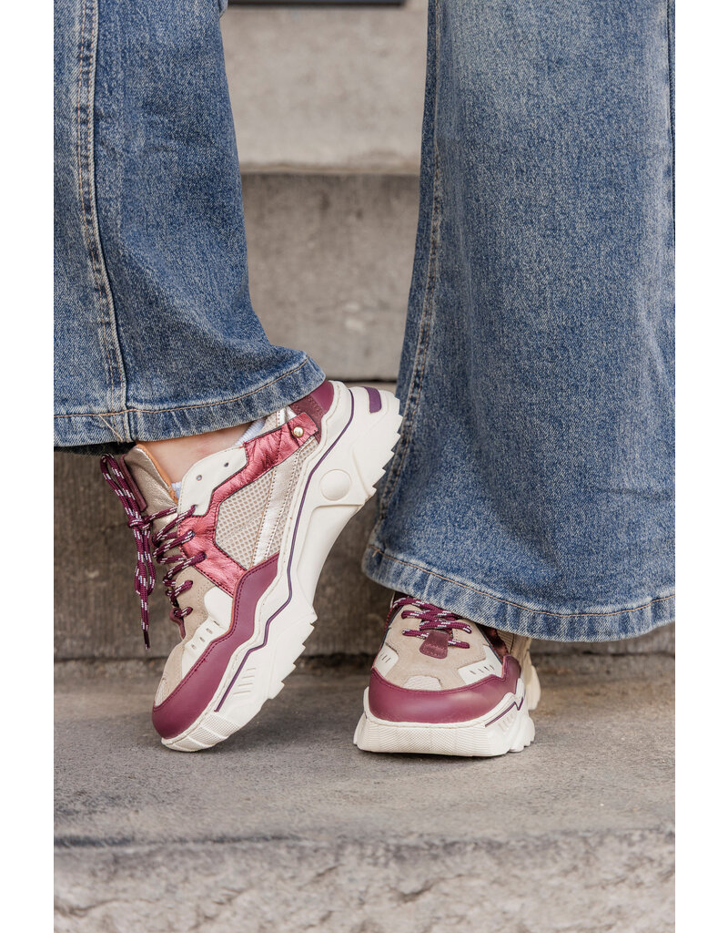 DWRS DWRS | Pluto - bordeaux/offwhite