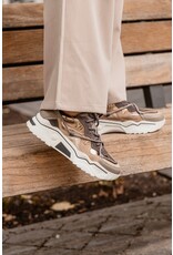 DWRS DWRS | Jupiter elefante/smoke