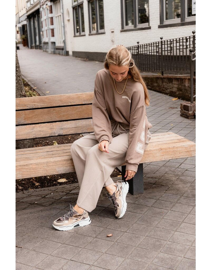 DWRS DWRS | Jupiter elefante/smoke