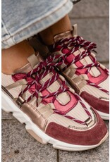 DWRS DWRS | Los Angeles - Bordeaux/Beige