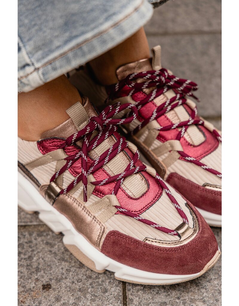 DWRS DWRS | Los Angeles - Bordeaux/Beige