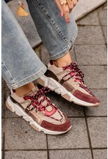 DWRS DWRS | Los Angeles - Bordeaux/Beige