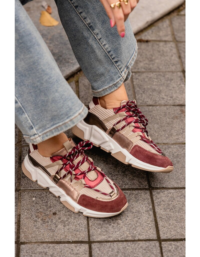 DWRS DWRS | Los Angeles - Bordeaux/Beige