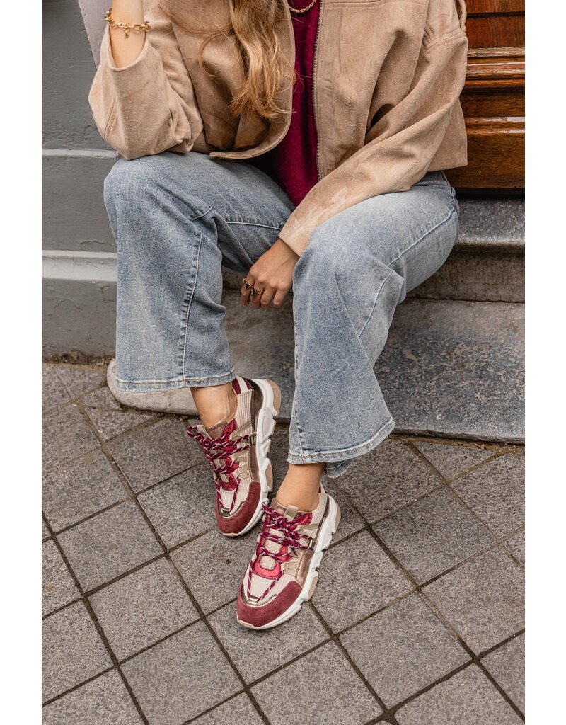 DWRS DWRS | Los Angeles - Bordeaux/Beige