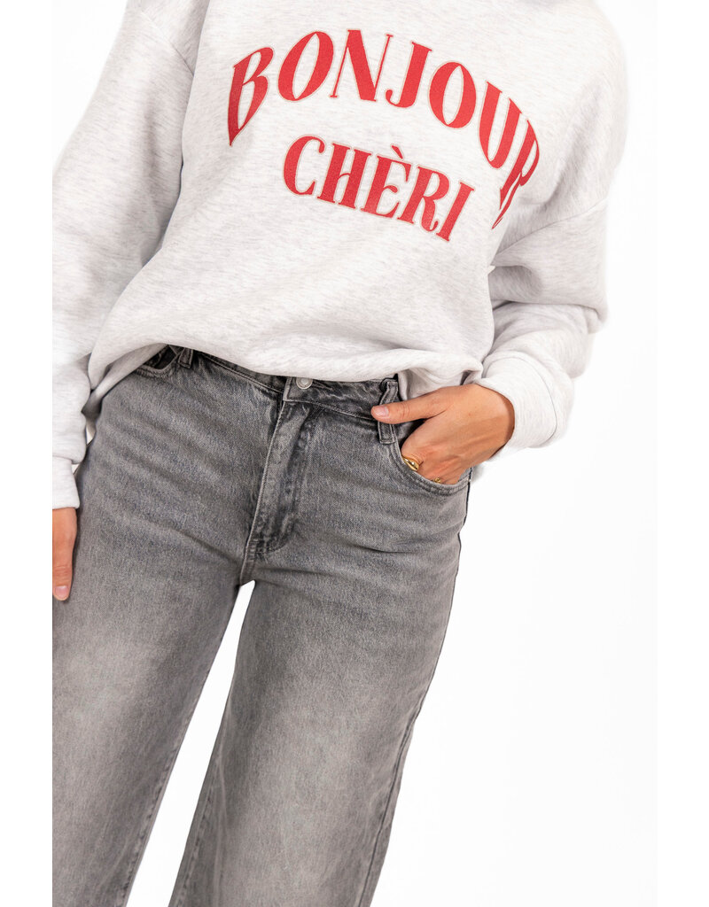 21Jewelz Basic stretch wide leg jeans - grijs