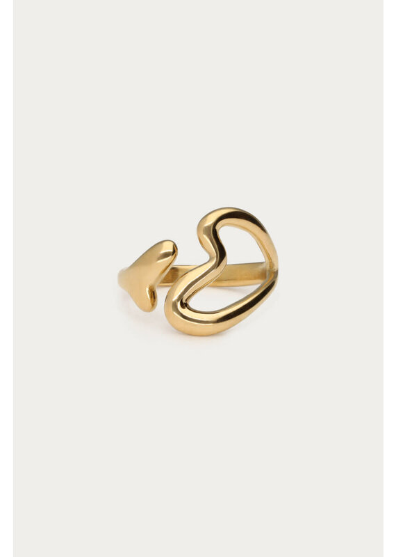My Jewellery My Jewellery - Statement ring twee hartjes