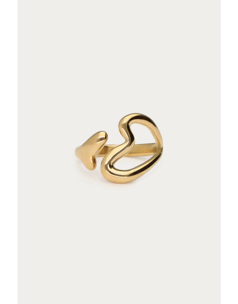 My Jewellery My Jewellery - Statement ring twee hartjes