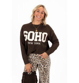 21Jewelz Soho trui - bruin
